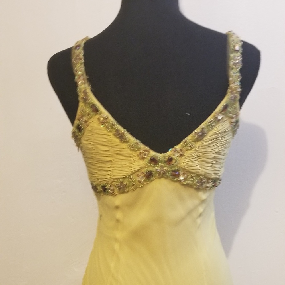 Sue Wong Car wash tail dress